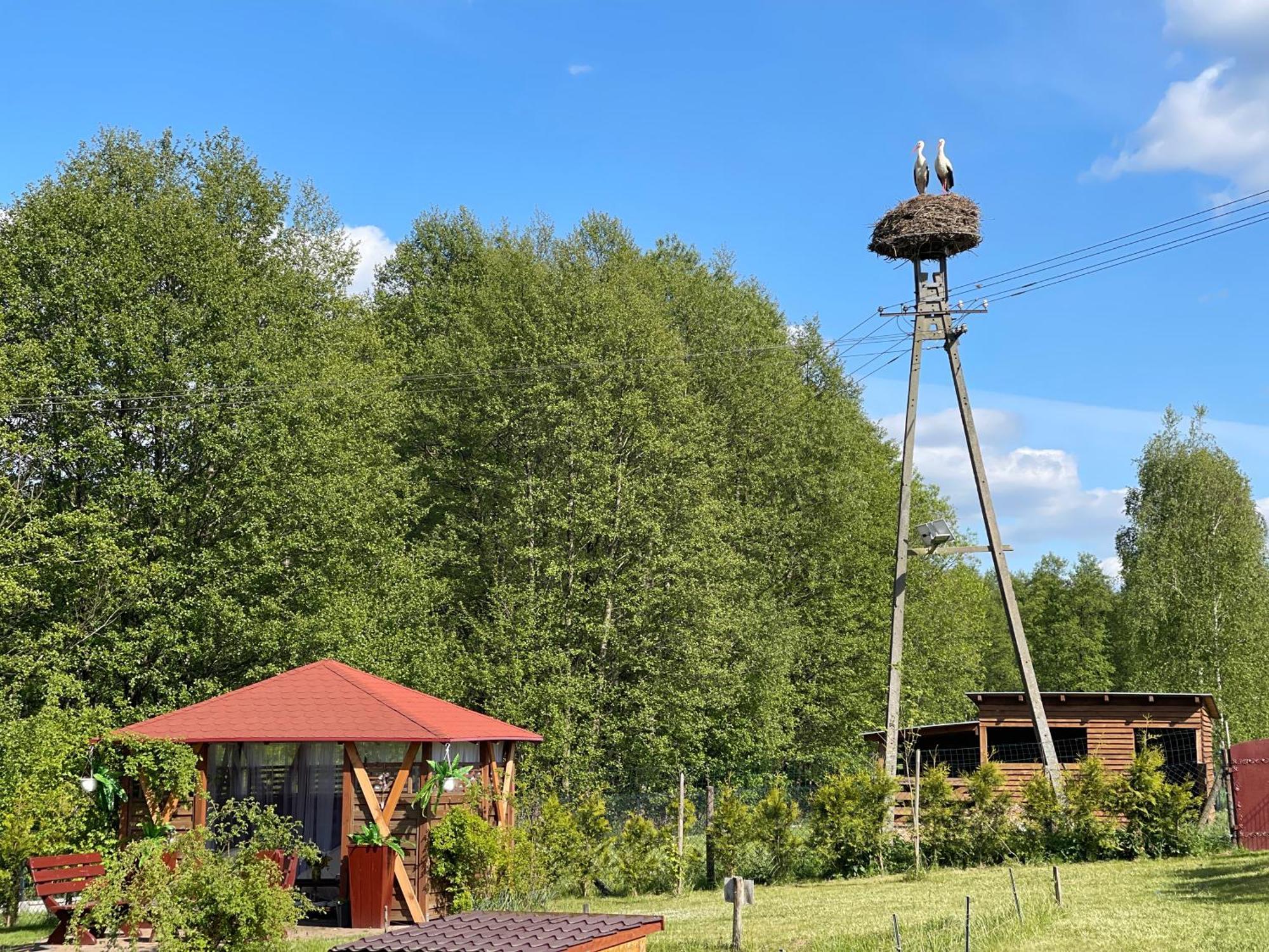 Agro Na Wapniarni Villa Biala  Exterior photo